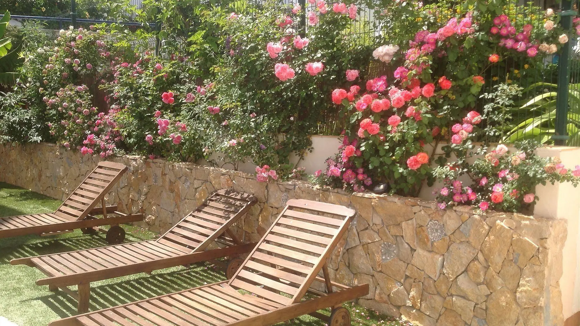 Hotel Sol A Sul Apartments Albufeira